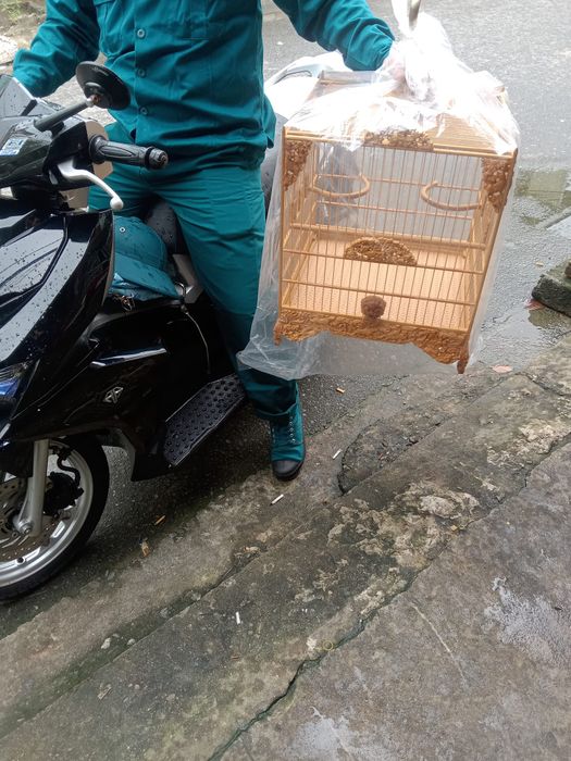 Bộ sưu tập lồng chim nghệ thuật tại Hòa Bình