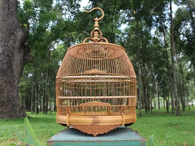 Bộ sưu tập lồng chim đặc sắc tại Chim Cảnh Việt Nam