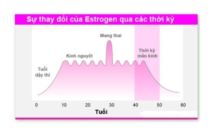 Khoảnh khắc đa dạng mẫu mã tại Hưng Phát