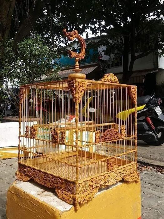 Không gian trưng bày đa dạng tại Chim Cảnh Út Ca