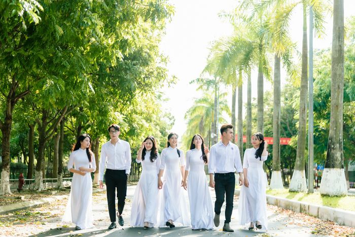 Khuôn viên xanh mát của Đại học Hải Phòng