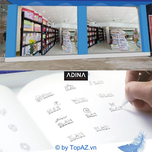 Adina - Đơn vị thiết kế logo và hệ thống nhận diện thương hiệu chuyên nghiệp hàng đầu tại Hà Nội