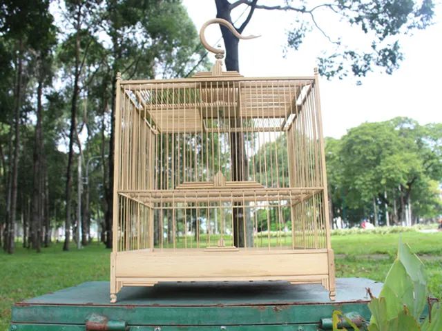 Không gian trưng bày đa dạng tại Chim Cảnh Việt Nam