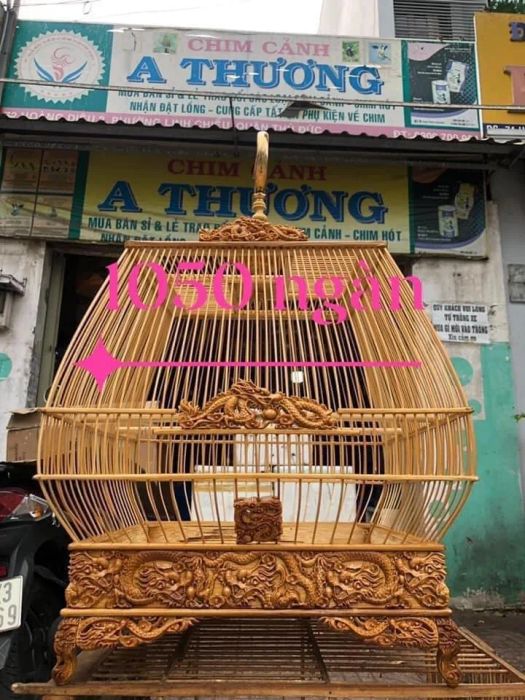 [Ảnh] Không gian trưng bày đa dạng tại Chim cảnh A. Thương
