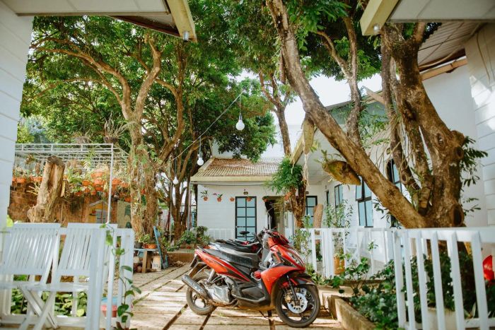 Hani House & More ảnh 2 - Góc sống ảo 'triệu view' với ban công ngập nắng và kiến trúc hòa quyện thiên nhiên.