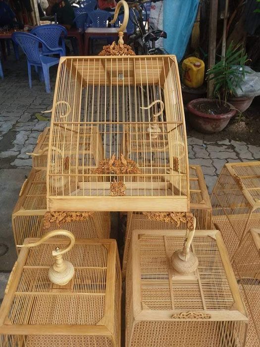 Hình ảnh không gian trưng bày tại Chim Cảnh Út Ca