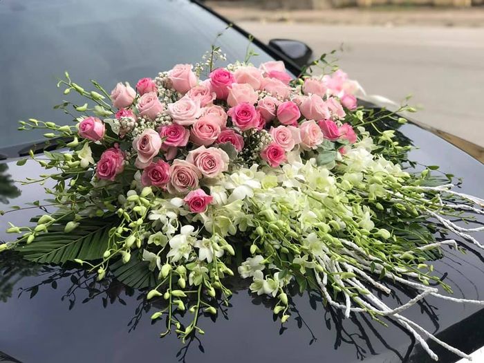 Thảo Flowers - Vẻ đẹp tỏa sáng (Ảnh 2)