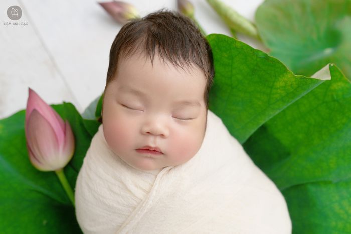 Tiệm Ảnh Gạo - Chụp Hình Bé ảnh 3