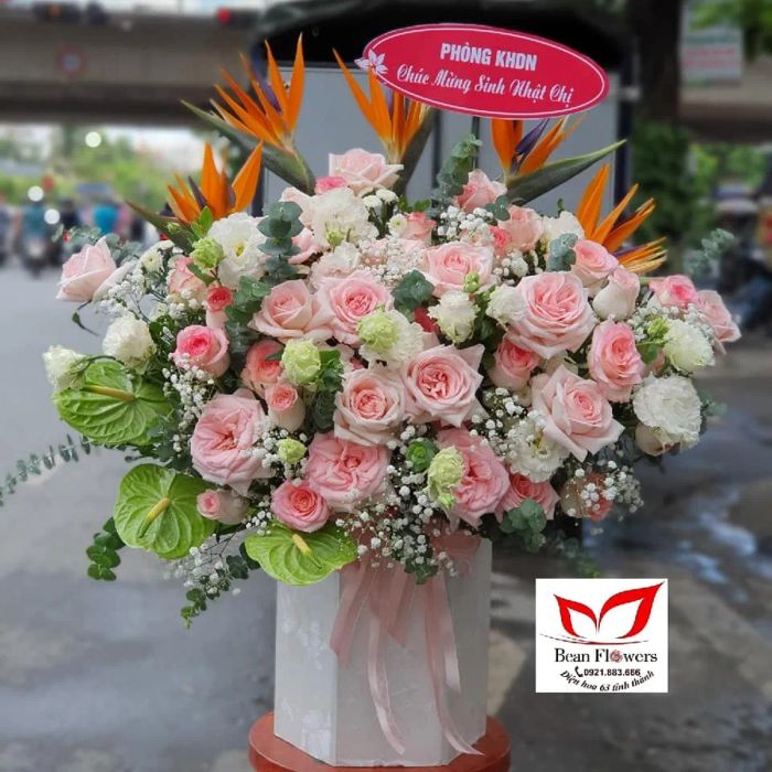 Bean Flowers - Nghệ thuật kết hoa đầy cảm xúc