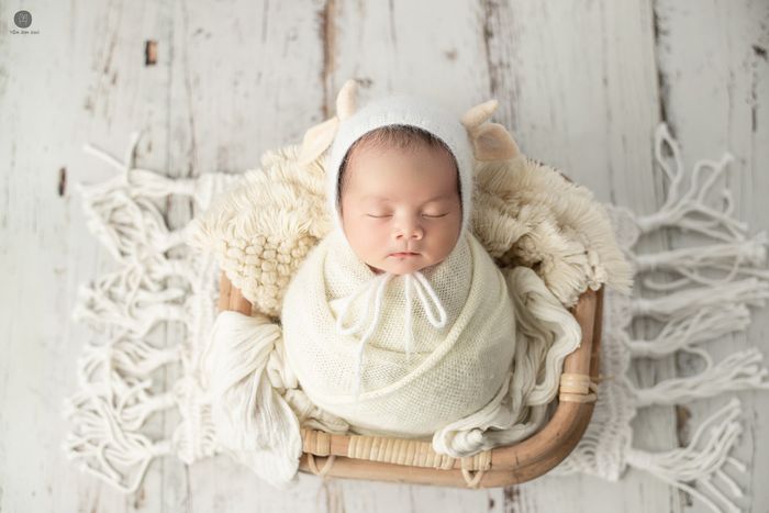 Tiệm Ảnh Gạo - Chụp Hình Bé ảnh 1