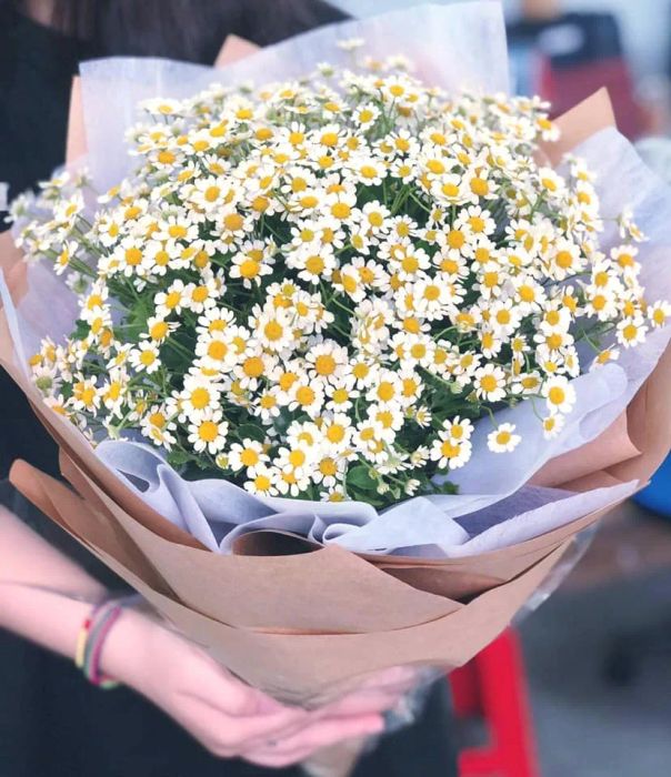 Feeling Love Flowers - Kiệt tác từ những bông hoa tươi thắm