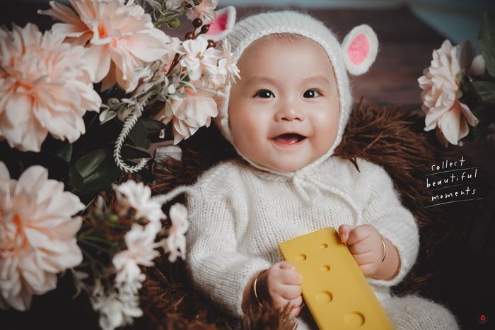 Tác phẩm nghệ thuật từ Ồ Baby Studio