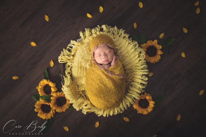 Caro Baby Studio khoảnh khắc 3