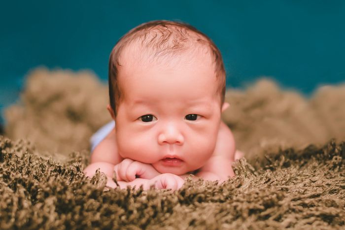 Tác phẩm nghệ thuật từ Lens Studio