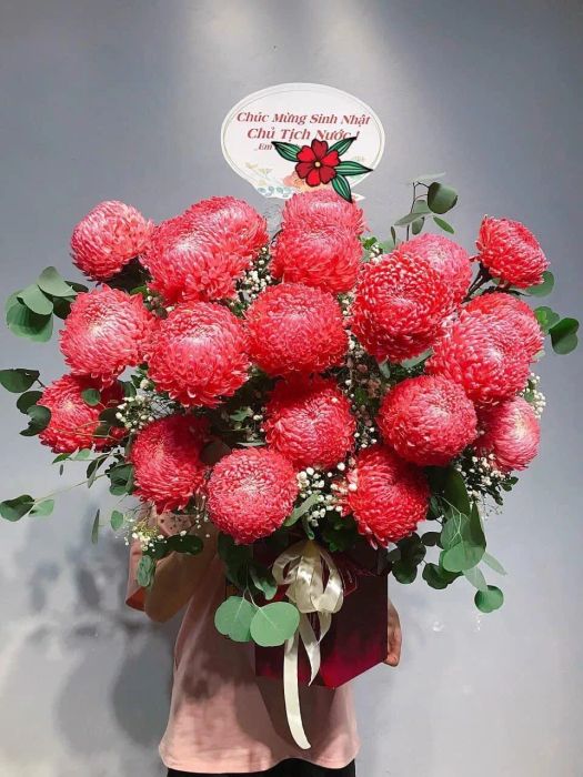Larosa Flower - Vẻ đẹp Châu Âu thuần khiết