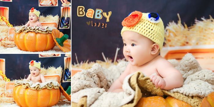 Chuột Baby Studio - Bộ sưu tập hình ảnh ngộ nghĩnh phần 1
