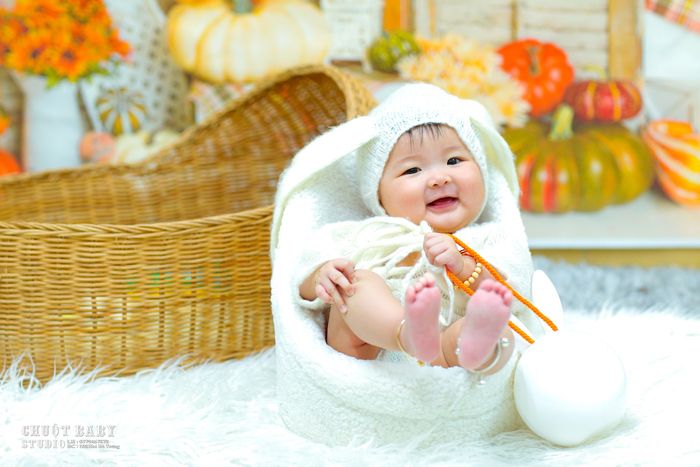 Chuột Baby Studio - Tuyển tập khoảnh khắc đáng yêu phần 2