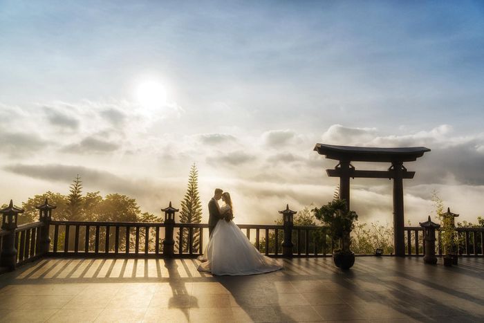 TÙNG Wedding Studio - Khoảnh khắc tình yêu ảnh 1