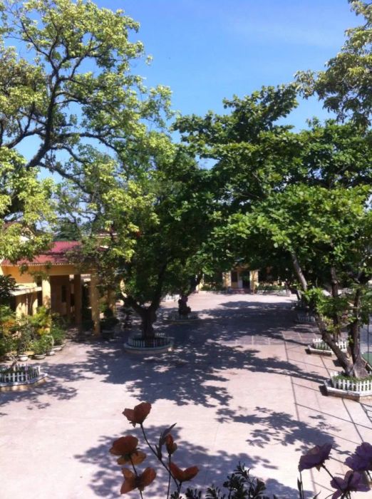 Hình ảnh đẹp về Trường Tiểu học Trần Quốc Toản