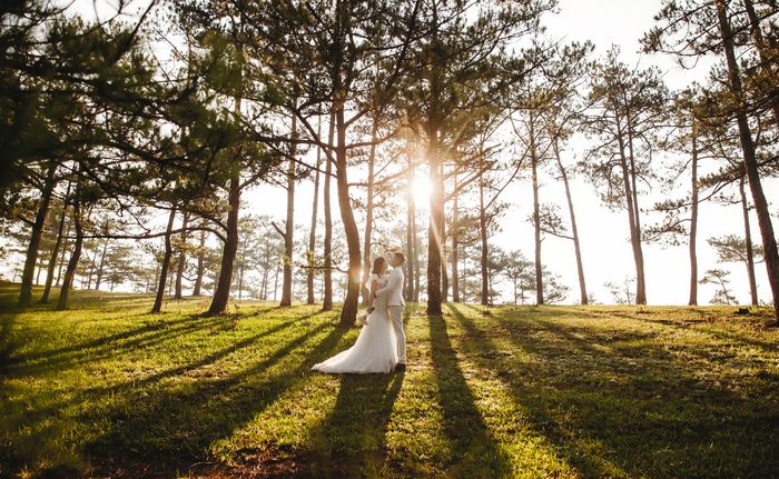 Paparazzi Bridal - Khoảnh khắc cưới lãng mạn tại Bảo Lộc ảnh 1
