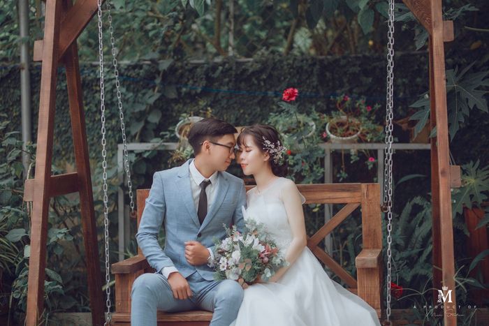 Min Studio Bảo Lộc - Ánh mắt yêu thương ảnh 2