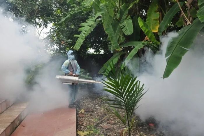 Công Ty Dịch Vụ Kiểm Soát Côn Trùng Anh Phát (Pest Control Anh Phát) - Hình ảnh 3