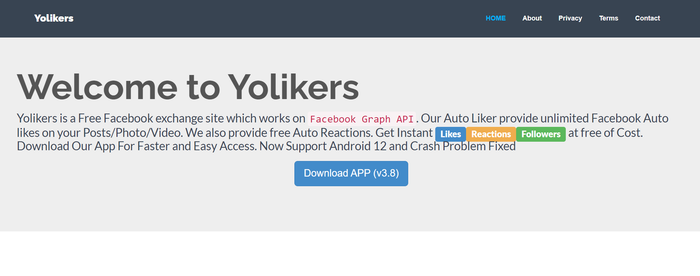 Yolikers ảnh 2