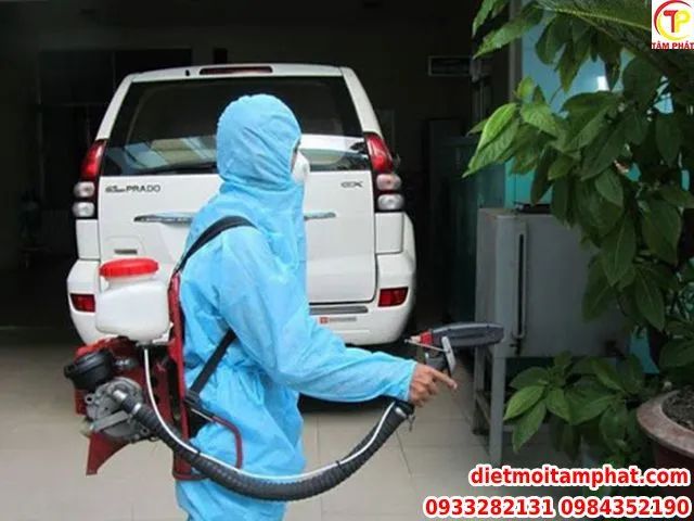 Công Ty TNHH Diệt Mối Và Côn Trùng Tâm Phát - Hình ảnh 2