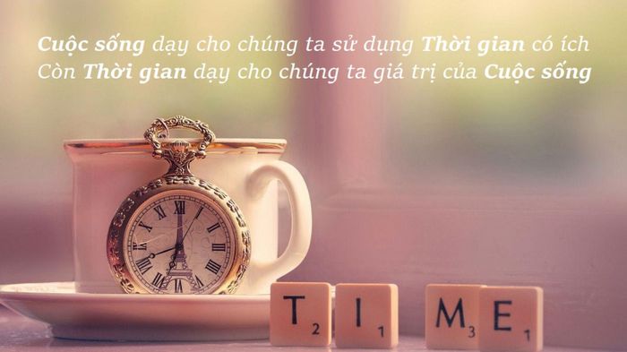 Hình ảnh minh họa sinh động (Nguồn: internet)