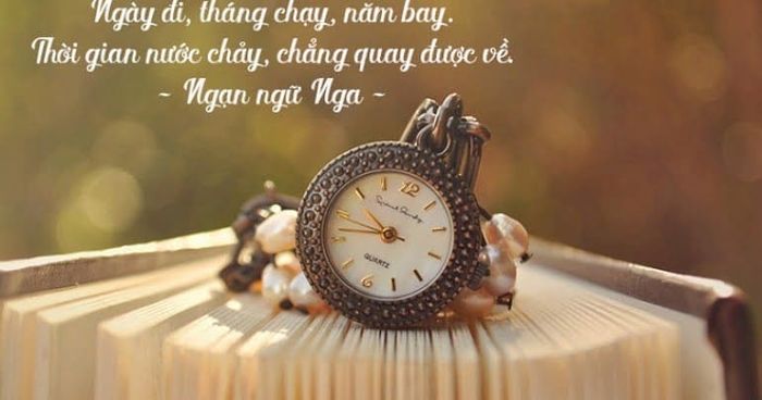 Hình ảnh minh họa ấn tượng (Nguồn: internet)