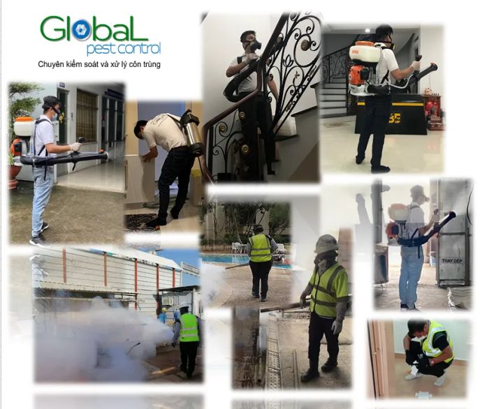 Công ty TNHH Khử Trùng Toàn Cầu - Global Pest Control ảnh 1