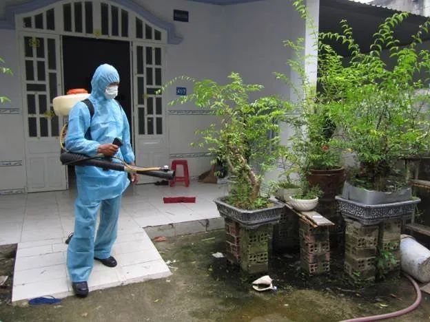 Công Ty Diệt Côn Trùng Anh Thư - Hình Ảnh Minh Họa 2