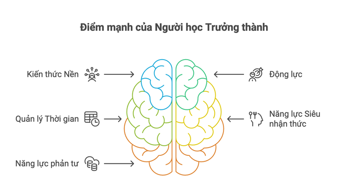 Lợi Thế Vượt Trội Của Học Viên Trưởng Thành