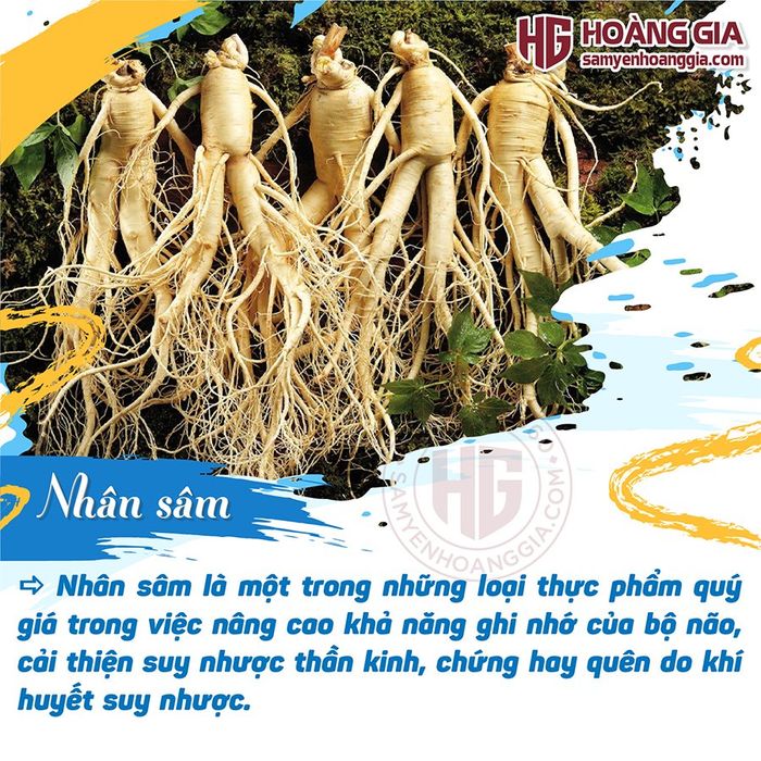 Hình ảnh đặc sắc về Sâm Yến Hoàng Gia