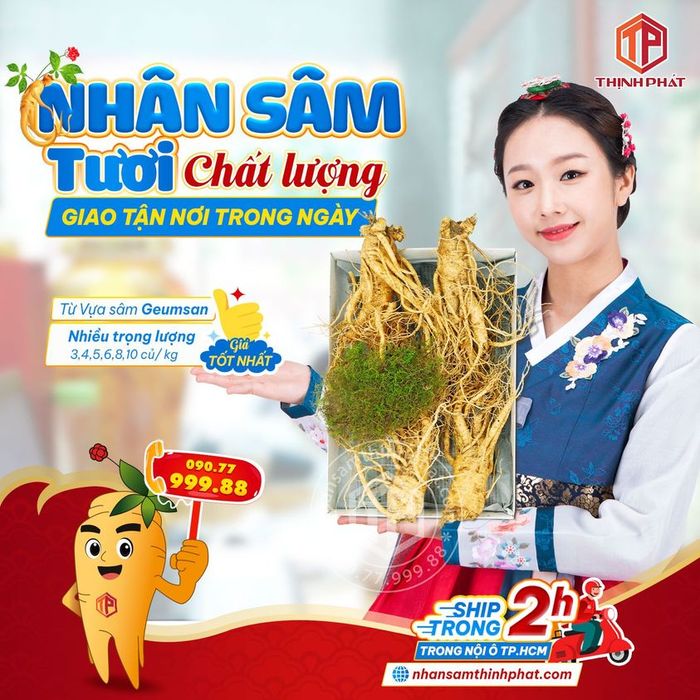 Hình ảnh Sâm Yến Thịnh Phát