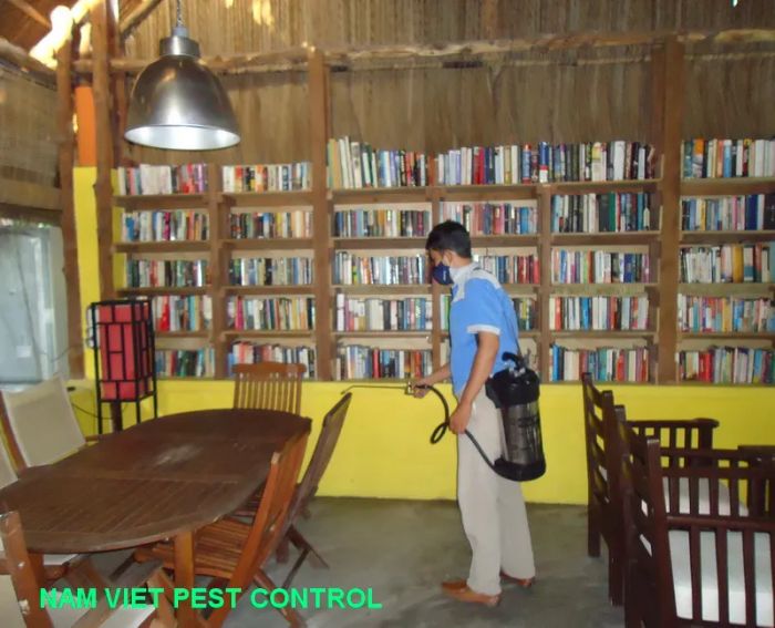 Công Ty TNHH Trừ Mối Nam Việt - Hình ảnh 3