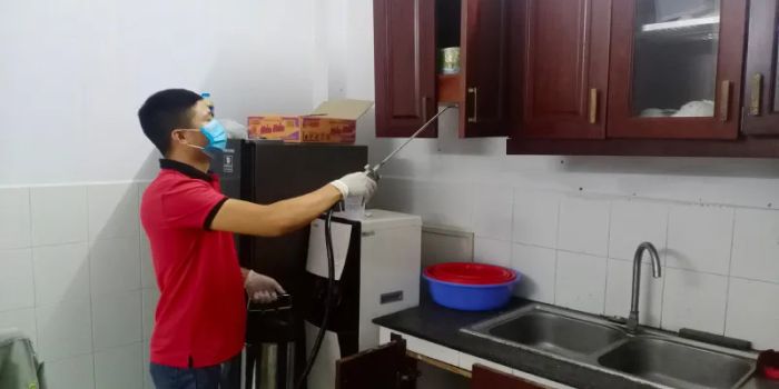 Công Ty Cổ Phần Tập Đoàn VinPest - Chuyên Gia Kiểm Soát Côn Trùng Số Một Tại Việt Nam