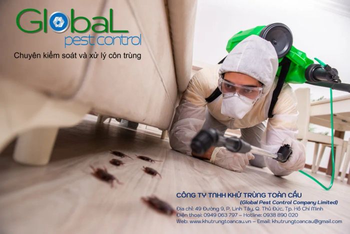Công ty TNHH Khử Trùng Toàn Cầu - Global Pest Control ảnh 3