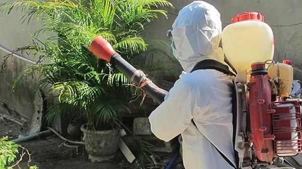 Công Ty TNHH DV TM VN Thăng Long - Hình ảnh 3
