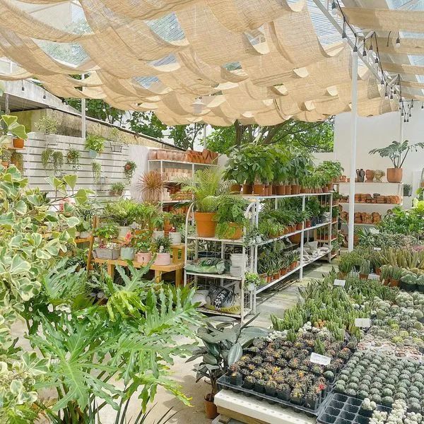 Cào Cào Garden ảnh 1