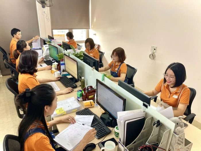 Công ty TNHH Tư vấn Tài chính - Kiểm toán Faco Việt Nam ảnh 1