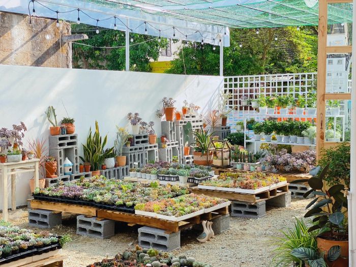 Cào Cào Garden ảnh 2