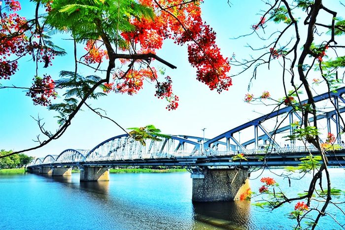 Ảnh minh họa (Nguồn internet) ảnh 1
