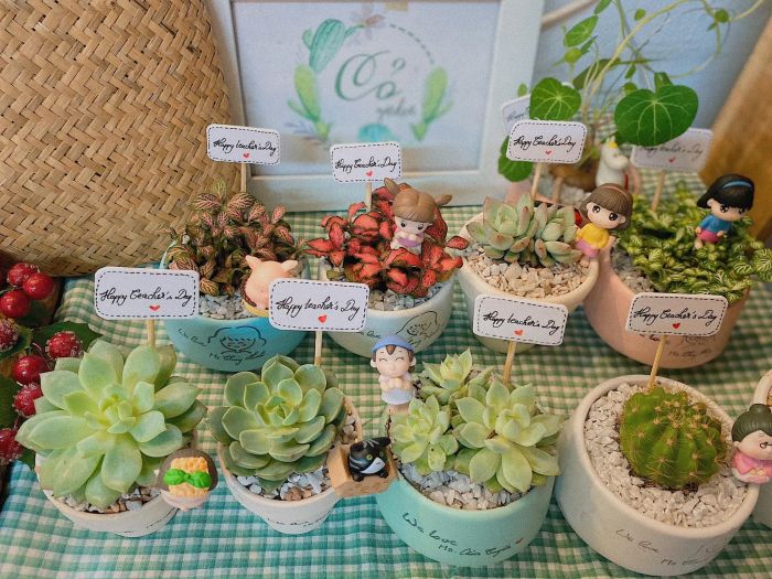 Cỏ Garden ảnh 1