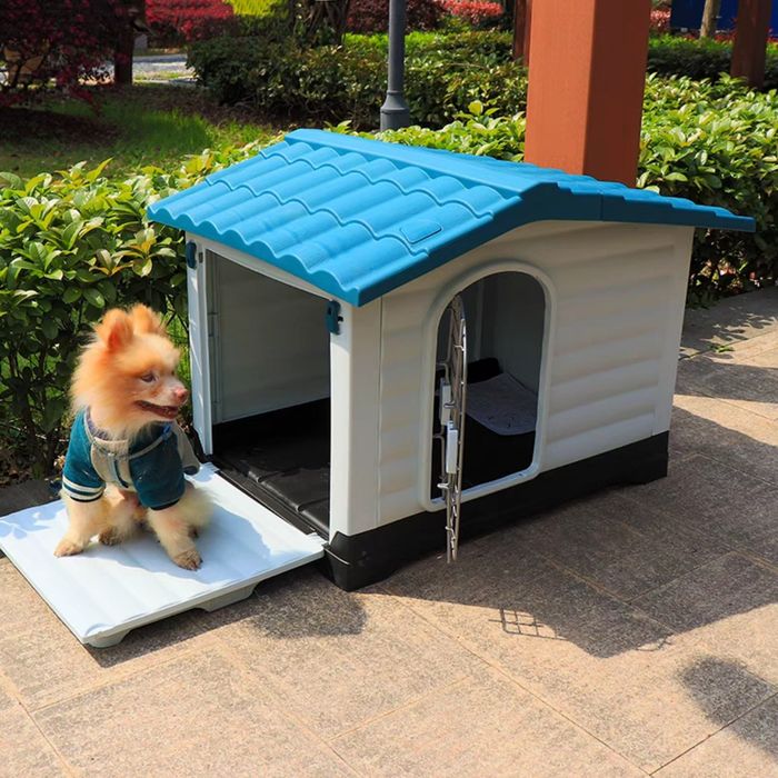 Hình ảnh J & Pet Shop Spa - ảnh 2