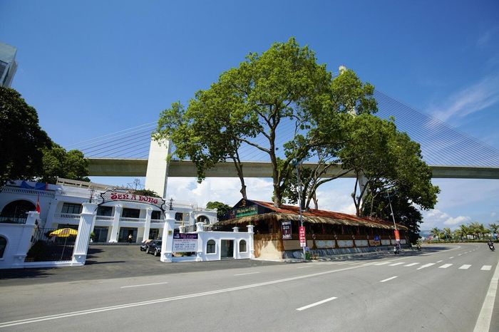 Không gian ấm cúng tại Buffet Sen Á Đông