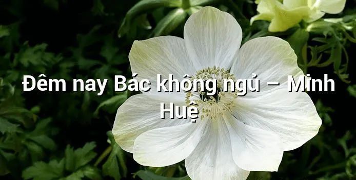 Hình ảnh minh họa (Nguồn: internet) - Bác Hồ bên bếp lửa đêm khuya
