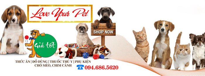 Hình ảnh Mèo Cún Pet Shop - ảnh 1