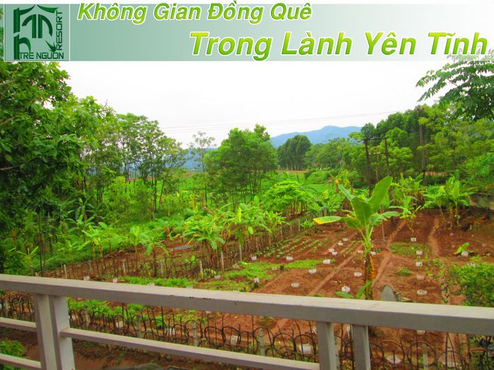 Hình ảnh 1 - Tre Nguồn Resort: Kiến trúc độc đáo giữa không gian xanh mát