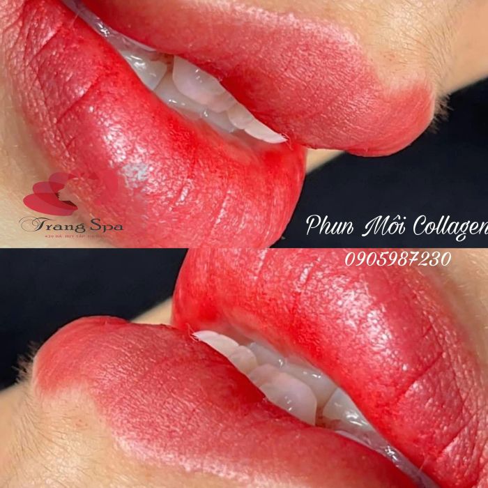 Hình ảnh thành phẩm phun môi tại Spa Trang (ảnh 1)